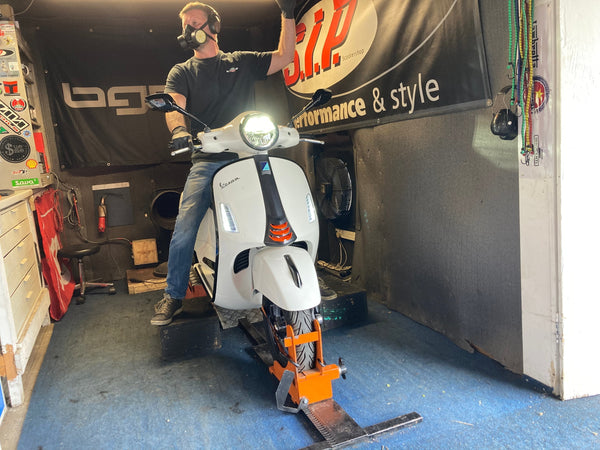 Vespa 310: Evolution of the species