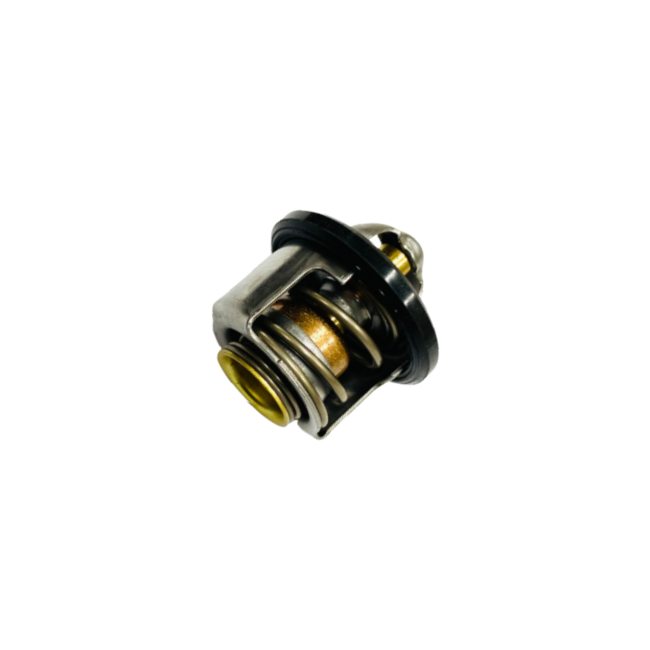 Piaggio Vespa Thermostat GTS, GT, GTV, NEXUS, X7/X8/X-Evo, Beverley,